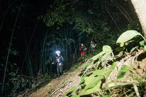 BIB: 
                            <button type="button" onclick="openModal(28117481)" class="btn btn-primary btn-sm float-right btn-popup" data-toggle="modal" data-target=".modal-high-quality">
                        <i class="fas fa-shopping-cart"></i> Add to Cart
                    </button>
                                            <button type="button" onclick="isThisMe(28117481, true)" class="btn btn-success btn-sm float-right btn-popup btn-isme hidden" data-toggle="tooltip" data-placement="bottom" title="นี่คือรูปของคุณใช่ไหม คลิกที่นี่เพื่อเอาเข้าอัลบั้ม">
                        <i class="fas fa-plus"></i> Add to album
                    </button>
                    <button type="button" onclick="isThisMe(28117481, false)" class="btn btn-warning btn-sm float-right btn-popup btn-isnotme hidden">
                        <i class="fas fa-ban"></i> Remove from album
                    </button>